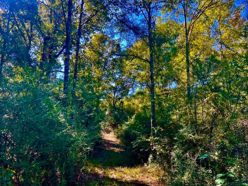 1B28B28C-0106-4301-B1D4-F7E0FFE3F03E_1_105_c