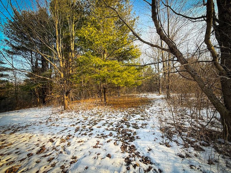 Seneca_43_Hohwald_Photos_30