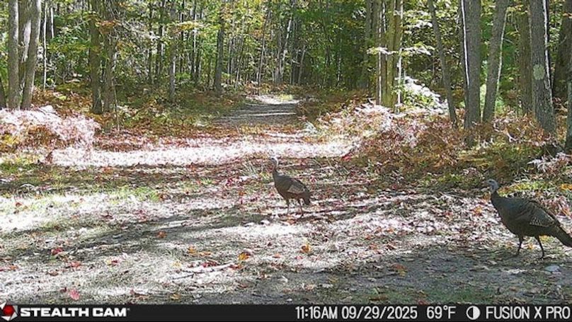 Atlanta - Turkey Friends