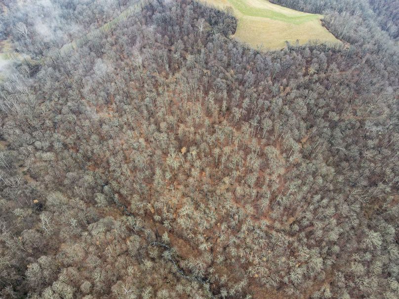 dji_fly_20240306_123716_883_1709746649819_photo