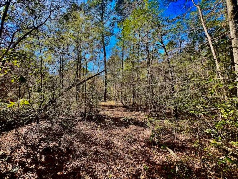 629E789F-1D4C-4E63-BCF2-621C6771F3CC_1_201_a