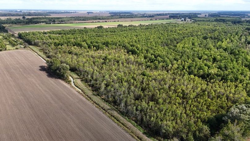 DJI_20251009043530_0779_D