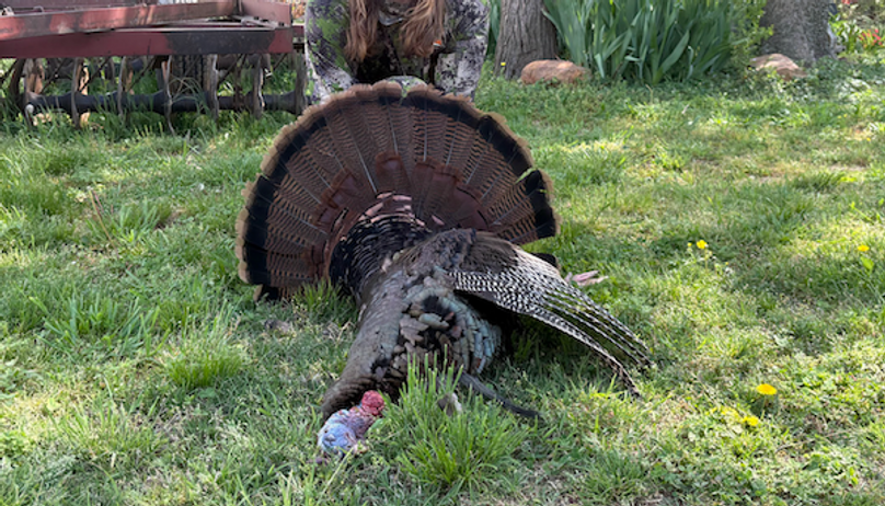 Screenshot 2026-03-02 at 9.56.50 AM