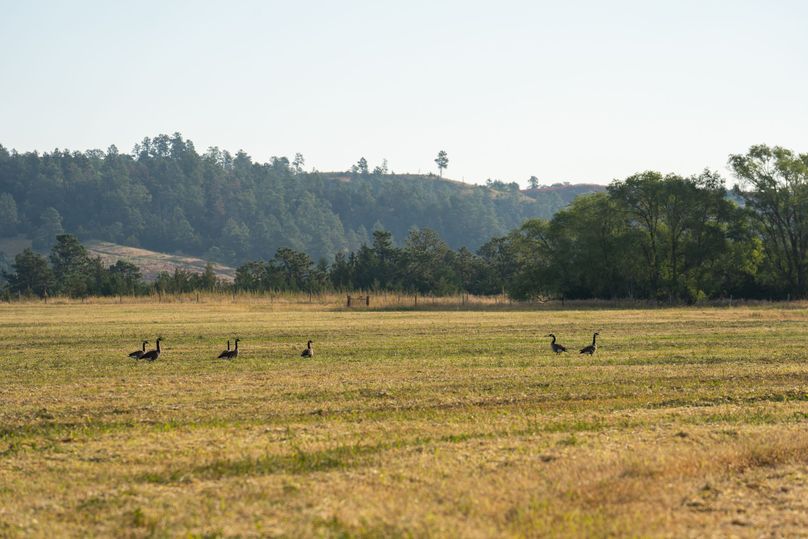 Keya Paha NE 2700_Pro Photo-135