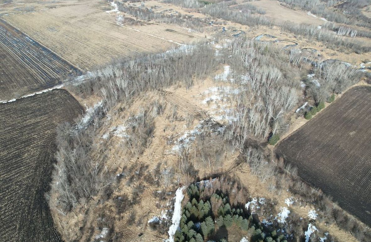 dji_fly_20260319_161336_124_1773955108443_photo