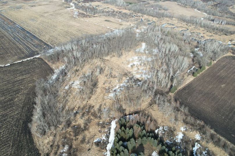 dji_fly_20260319_161336_124_1773955108443_photo