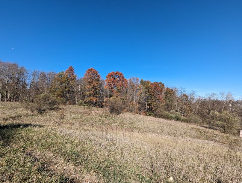 PXL_20231103_154448463