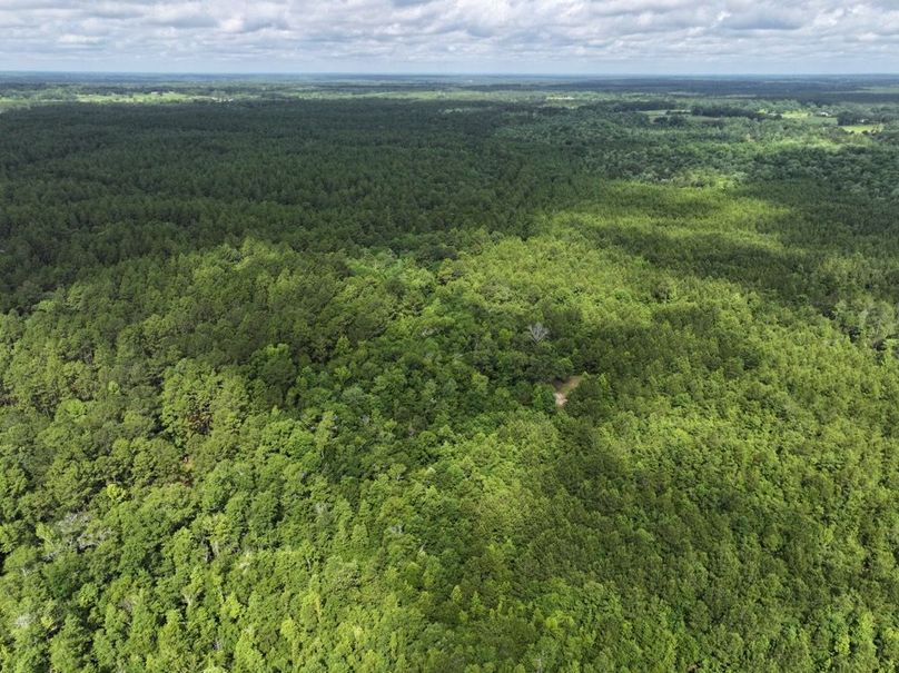 dji_fly_20250612_101910_0107_1750261384124_photo