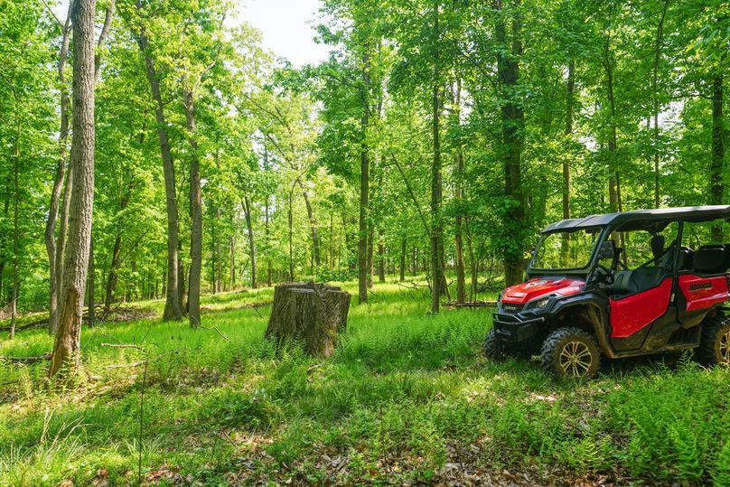 York 86 Ground Photos-07