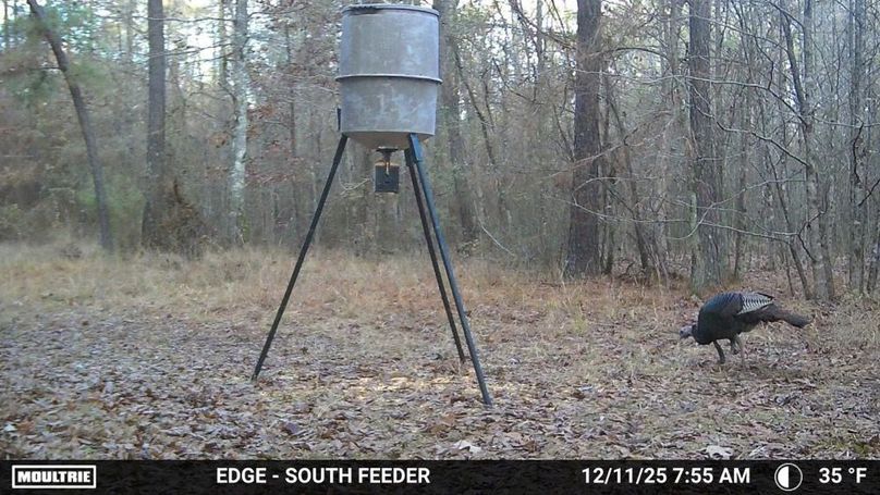 2706761-20251211135649-100MFCAM_MFDC1103