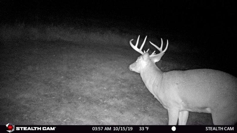 Big Buck Oct 2019