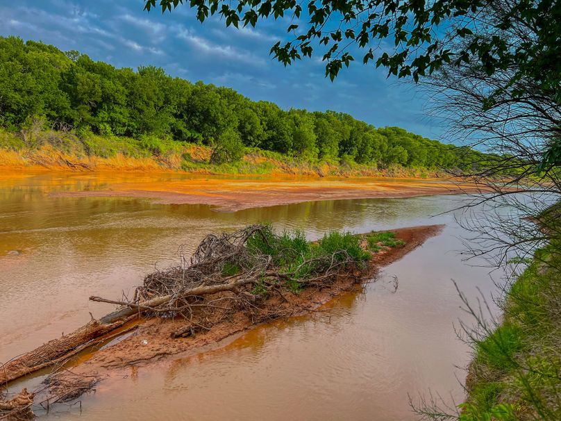 Brazos River Bottom Hunting Paradise Whitetail Properties