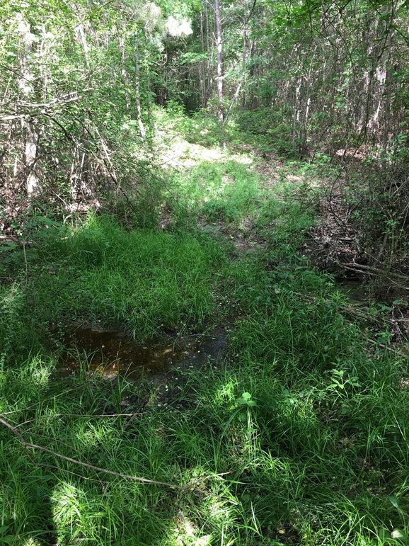 97FBFD01-8C59-49B8-A574-33C8E5830640_1_105_c