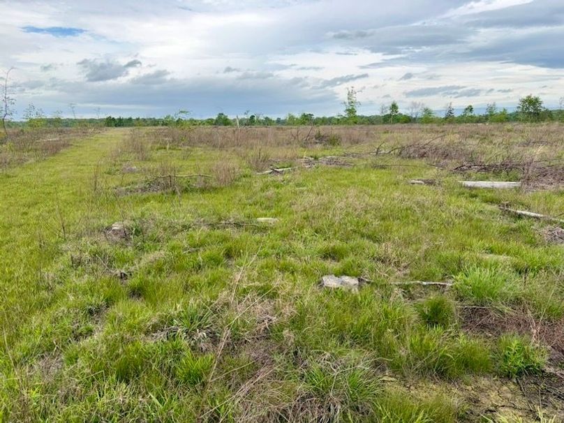 9046F51E-E6FE-451C-98E4-66C4EFC62C77_1_105_c