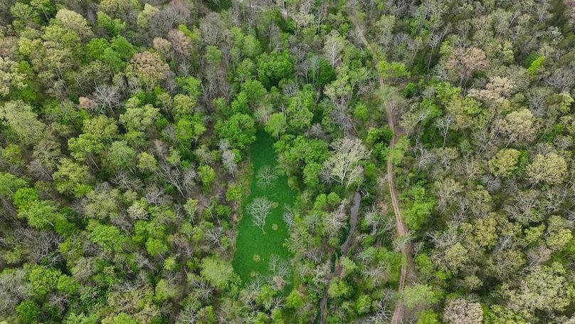 DJI_20260415155837_0461_D