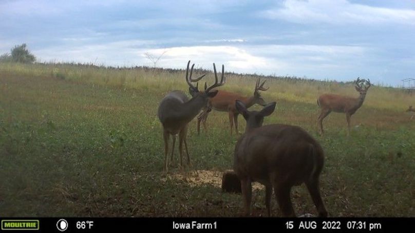 image637961971769801045