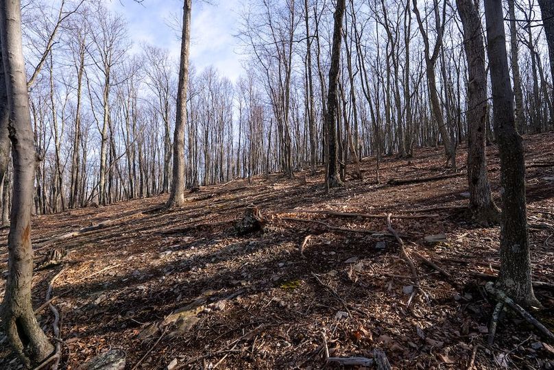 Copy of Hampshire WV 200 Featured_Pro Photo-8