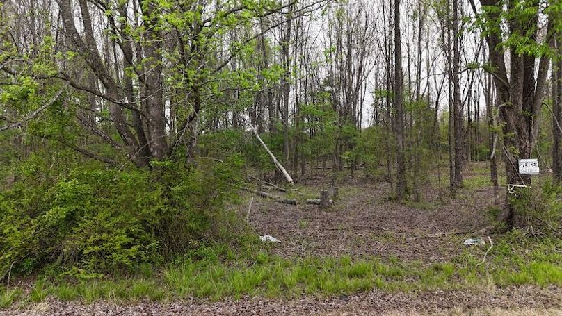 DJI_20260402002943_0192_D