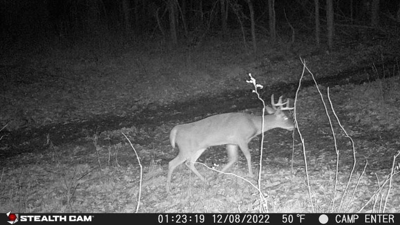 22120801231801000461