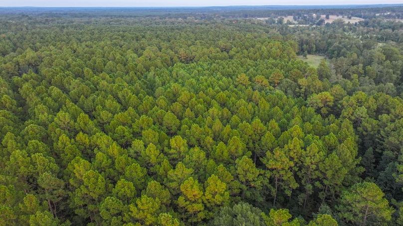 DJI_20250918184207_0256_D