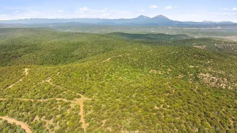 DJI_20250701112945_0008_D_1