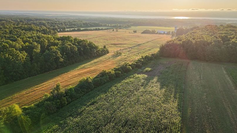 Copy of Wood Main Listing Photo 4