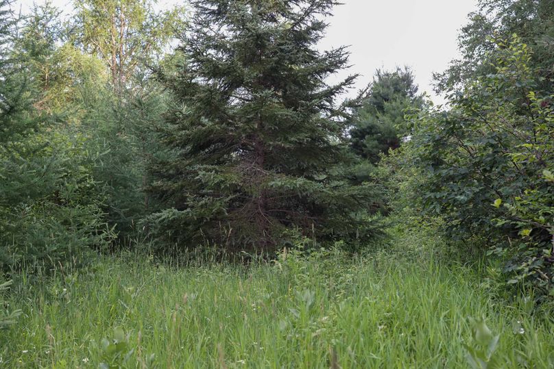 Mackinac20Fewins-6106