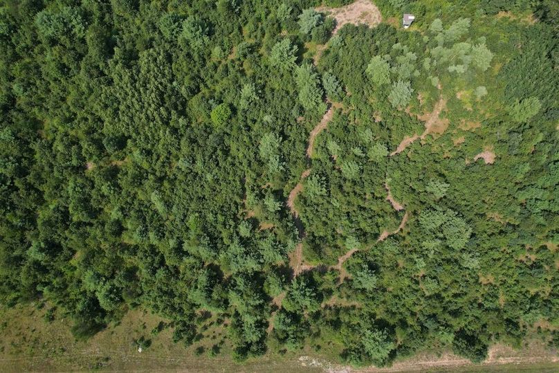 dji_fly_20250805_150726_213_1754424611158_photo