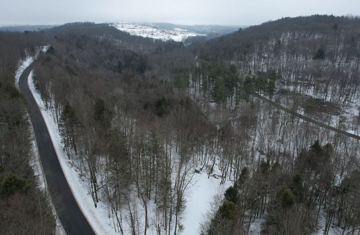 dji_fly_20260216_114114_128_1771260524556_photo