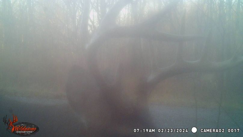 trail cam31