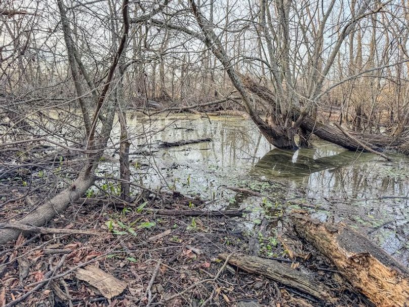 Phillips 8.5 Trahan -23