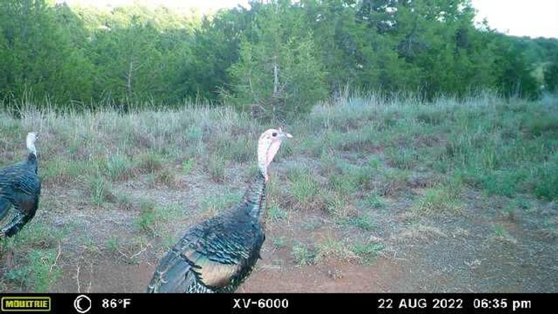 image638376236239977854