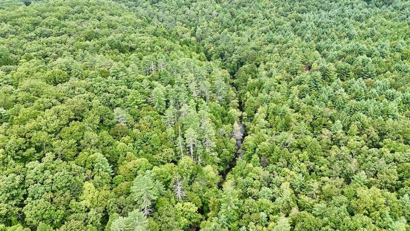 DJI_20250820164145_0071_D