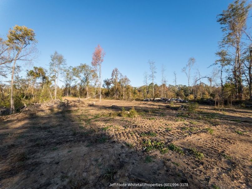 Claiborne Co-151-Geronimo-45