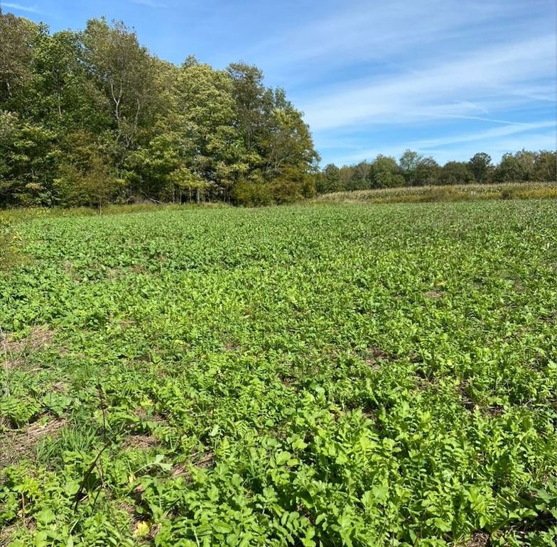 Screen Shot 2025-10-07 at 11.38.24 AM