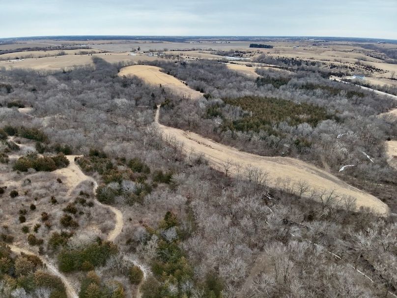 CAF34096-DAA1-4B2A-A87B-5556AF7461BD_1_201_a