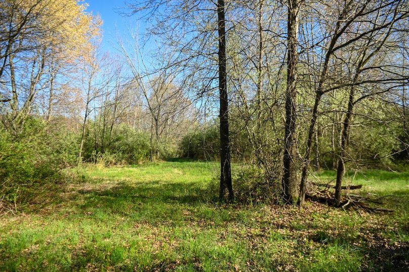 vandalia 450 (2)-2481