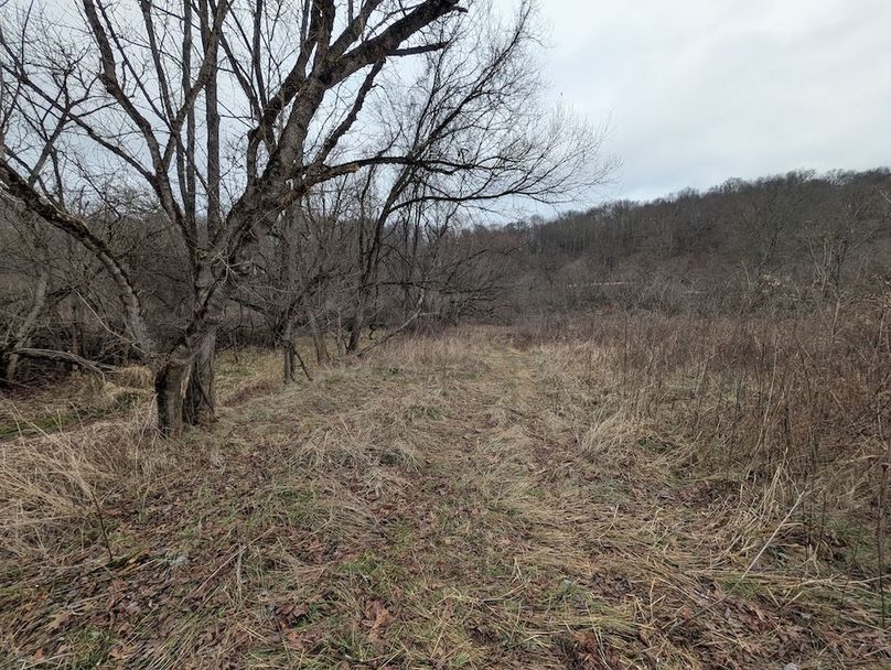 PXL_20260107_184244420