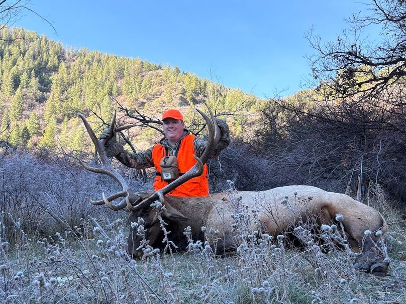 Copy of 3A9B7461-3D6B-41EB-BB59-46C2044F68E6