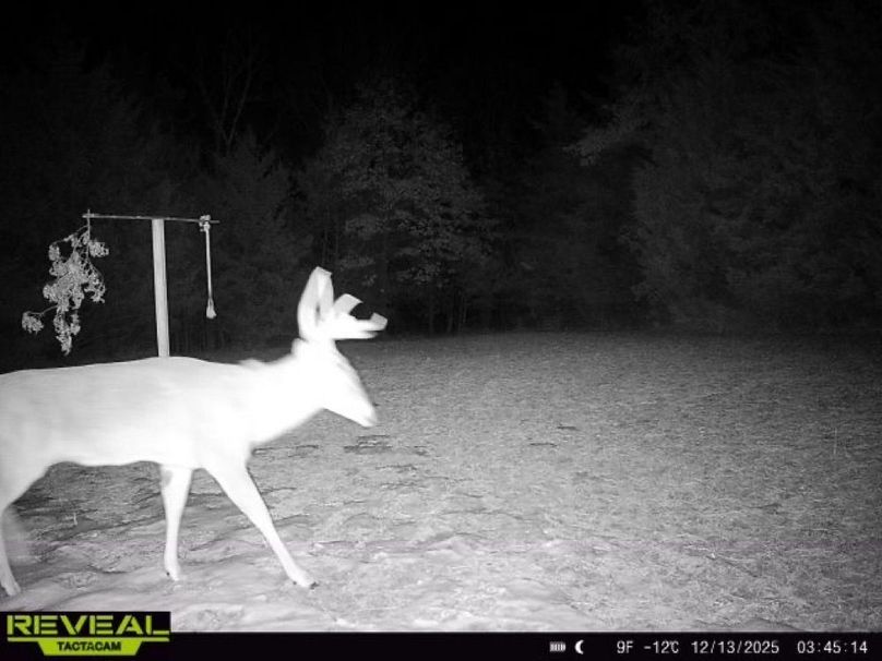 865814042182525-100-3-12132025034514-W1002350