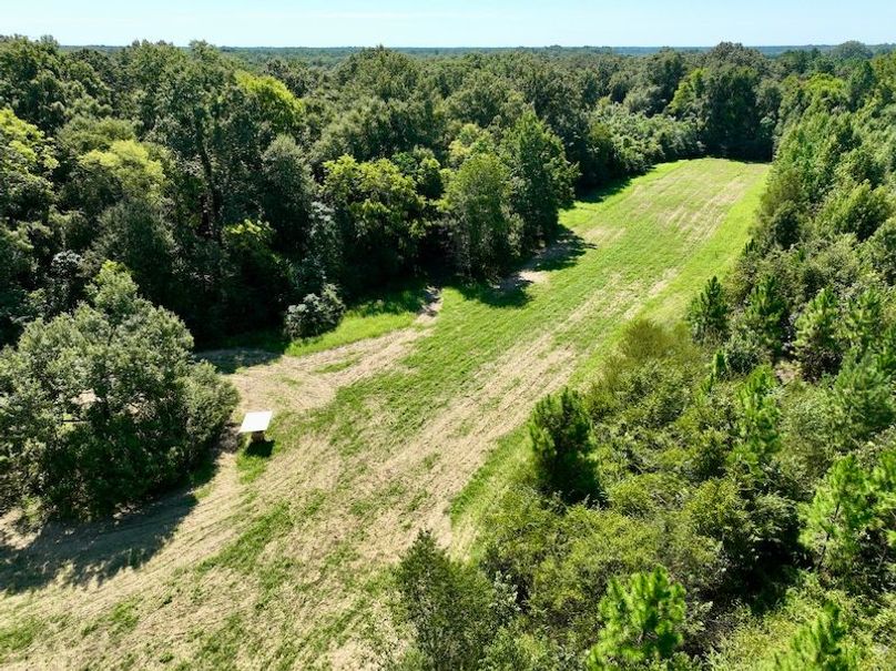 dji_fly_20250903_114046_110_1756914526737_photo