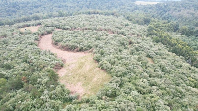 dji_fly_20250806_125354_553_1754499834880_photo