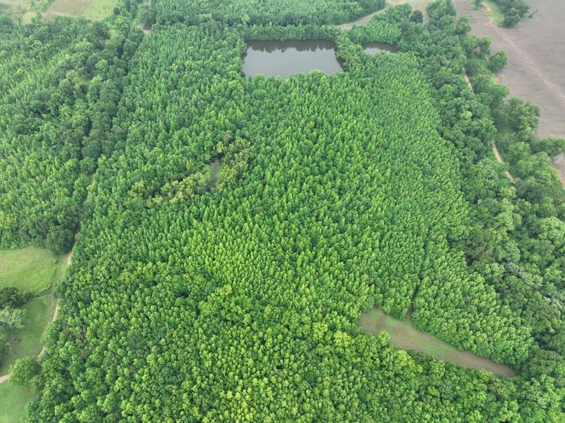 dji_fly_20260523_120120_478_1779631882305_photo