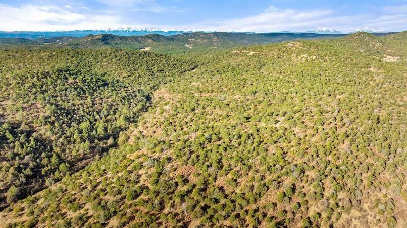 DJI_20251125100214_0067_D