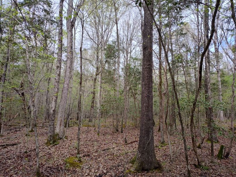 IMG_20250412_134844691_HDR