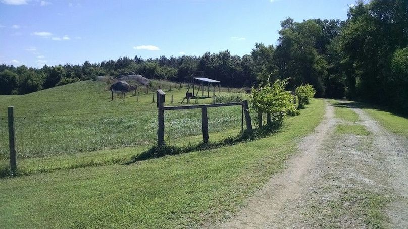 IMG_20150628_101940620