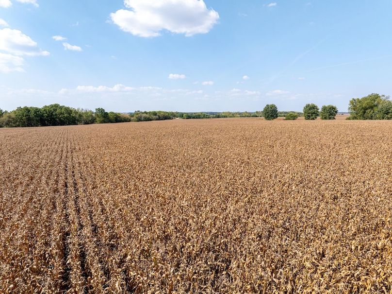 Copy of Whiteside 181_24