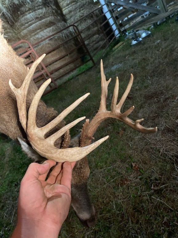 trail cam and harvest15