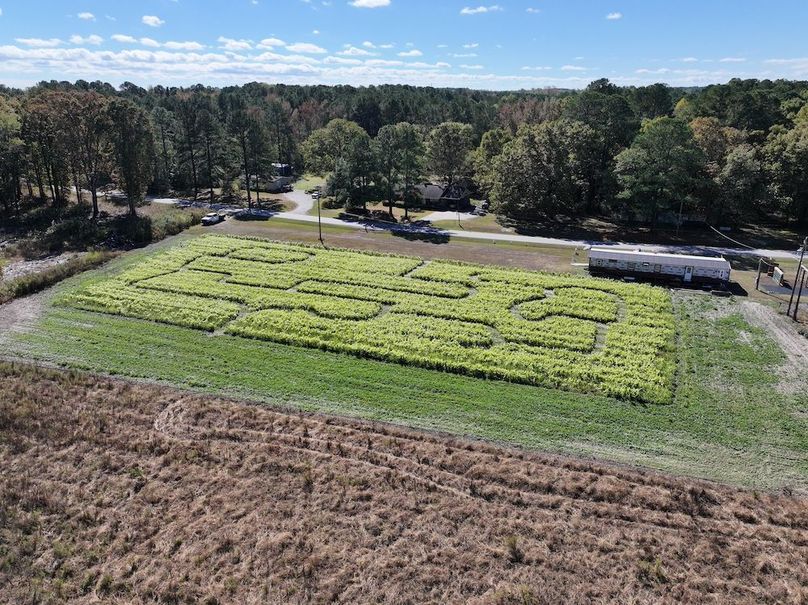 DJI_20251018125000_0179_D