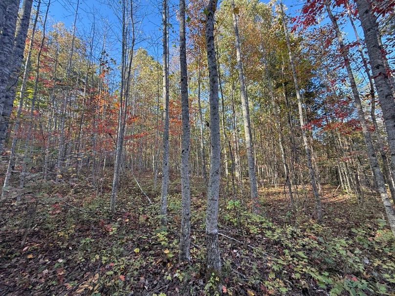 011 look at those beautiful fall colors